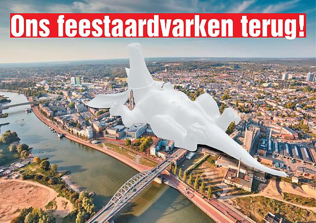 https://arnhem.sp.nl/form/feestaardvarken